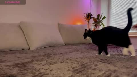 Snapshot of lovelorn_ chatting on 10-23-25, 06:34 Elsa online show from 10-23-25, 06:34