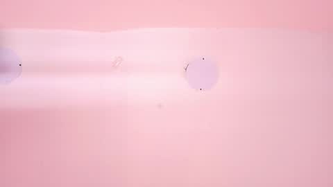 L O V E  online show from 03-12-26, 11:38