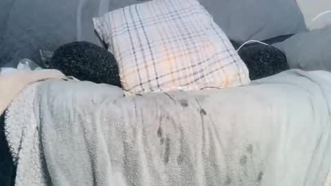 Snapshot of lovestobeused2 chatting on 02-17-26, 02:19 lovetobeused online show from 02-17-26, 02:19