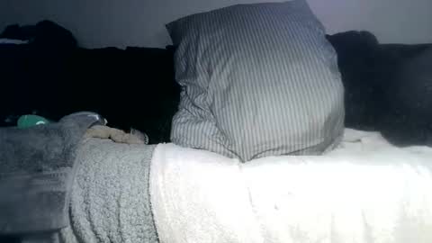 lovetobeused online show from 05-04-26, 03:02