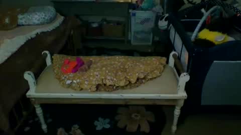 Snapshot of lovetubes101 chatting on 09-19-25, 01:18 lovetubes101 online show from 09-19-25, 01:18