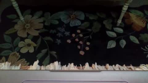 Snapshot of lovetubes101 chatting on 10-29-25, 12:46 lovetubes101 online show from 10-29-25, 12:46