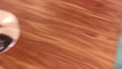 lovingcouple1969 online show from 02-07-26, 02:21