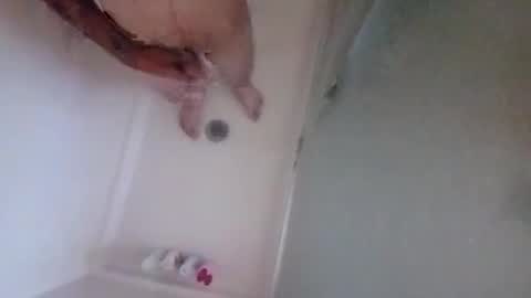 2096512345 online show from 10-12-25, 07:35