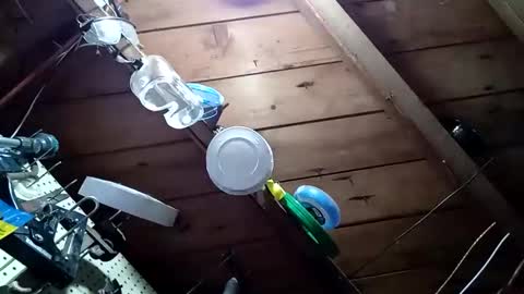 Snapshot of lowtidehightide chatting on 11-25-25, 04:51 lowtidehightide online show from 11-25-25, 04:51