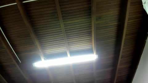 Snapshot of luca_morettii chatting on 11-05-25, 12:16 luca_morettii online show from 11-05-25, 12:16