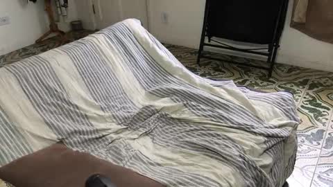 Snapshot of lucifer_curious chatting on 11-08-25, 04:18 lucifer_curious online show from 11-08-25, 04:18