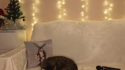 Snapshot of luckyday_ chatting on 12-25-24, 06:52 Katerina  online show from 12-25-24, 06:52