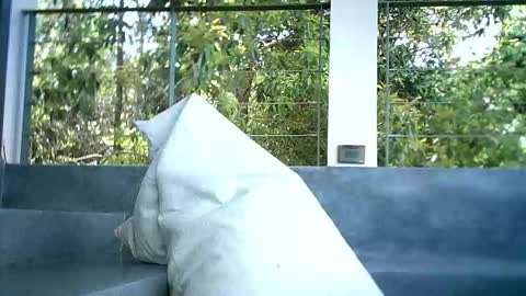 LuckyLukas online show from 11-04-25, 04:44