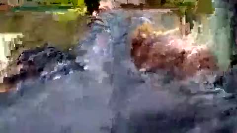 Andrew online show from 10-22-25, 10:59