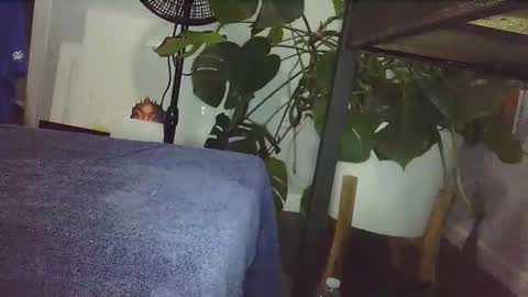 Snapshot of lukesky222 chatting on 02-14-26, 09:00 Luke online show from 02-14-26, 09:00