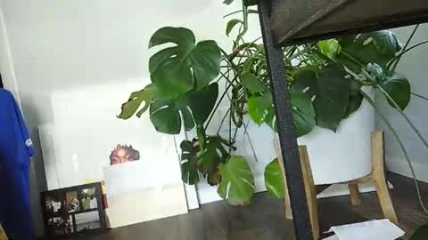 Snapshot of lukesky222 chatting on 03-15-26, 07:31 Luke online show from 03-15-26, 07:31