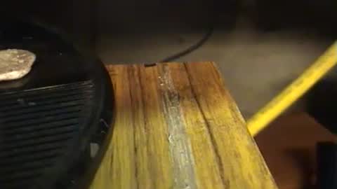 lukestarfckr online show from 09-29-25, 07:19