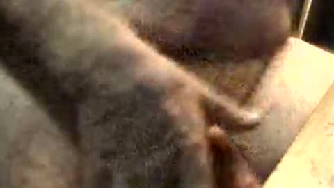 lukestarfckr online show from 11-10-25, 09:19