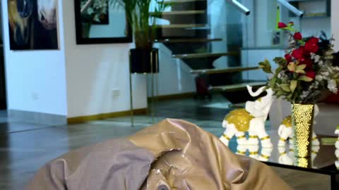 Lukhas f4f online show from 01-20-25, 03:48