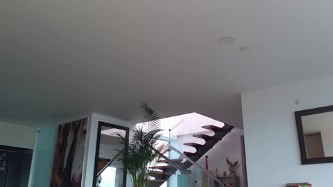 Lukhas f4f online show from 02-12-25, 08:07