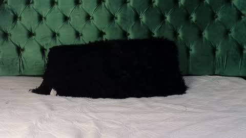 Lumars online show from 01-29-25, 01:37