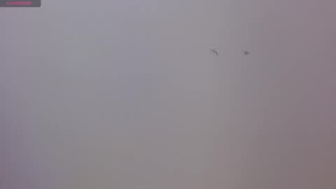 Luna and Rick online show from 11-17-25, 08:36