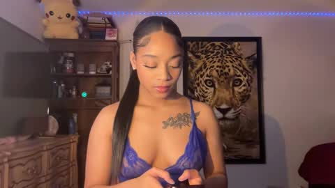 Snapshot of lunaa_11 chatting on 02-28-25, 10:06 lunaa_11 online show from 02-28-25, 10:06