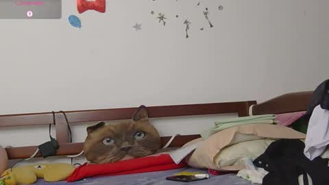 Snapshot of lunamoon_17 chatting on 11-12-25, 06:41 LUNA online show from 11-12-25, 06:41