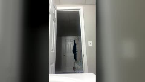 Snapshot of lunamoth00 chatting on 12-15-25, 12:04 lunamoth00 online show from 12-15-25, 12:04