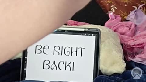 Lunar Fae Stellaris online show from 02-13-26, 02:46