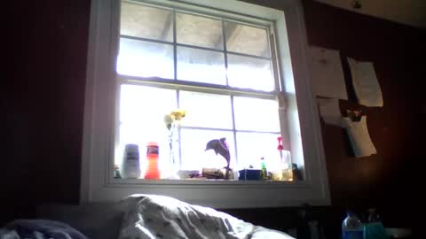 lunasecretadmirer online show from 02-14-26, 07:21