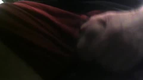 lunatica12 online show from 02-23-25, 06:17