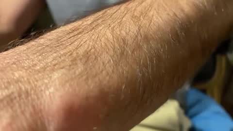 lupushorny online show from 09-20-25, 11:06