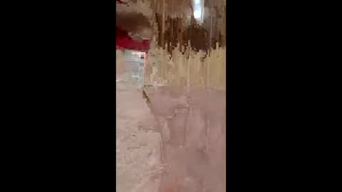 Snapshot of lustinaxxx chatting on 12-14-25, 10:25 lustinaxxx online show from 12-14-25, 10:25