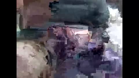 lutorres online show from 11-16-25, 10:32