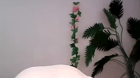 Bee Bee online show from 09-09-25, 01:38