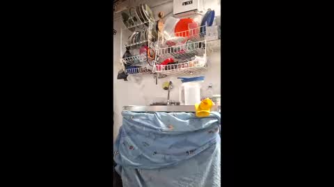 luxdasilva online show from 05-14-26, 06:26