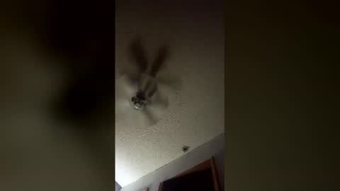 lvckthegoat online show from 03-12-26, 08:09