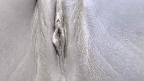 Snapshot of lyiajee chatting on 10-14-25, 07:09 lyiajee online show from 10-14-25, 07:09