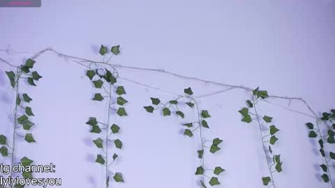 Lyly   online show from 11-13-25, 05:39