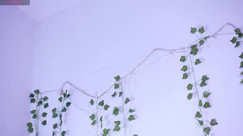 Lyly   online show from 01-12-26, 05:34