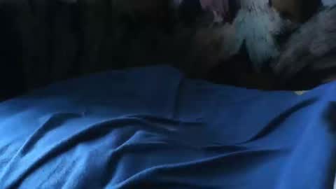 Snapshot of macho9385 chatting on 09-24-25, 07:33 macho9385 online show from 09-24-25, 07:33