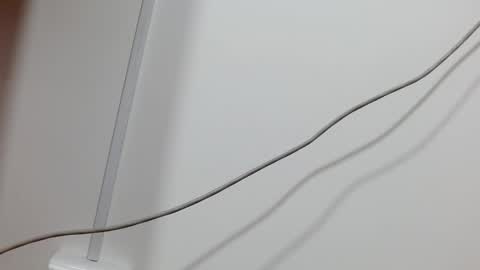 Snapshot of maddy_14 chatting on 12-21-24, 12:16 Maddy UwU online show from 12-21-24, 12:16