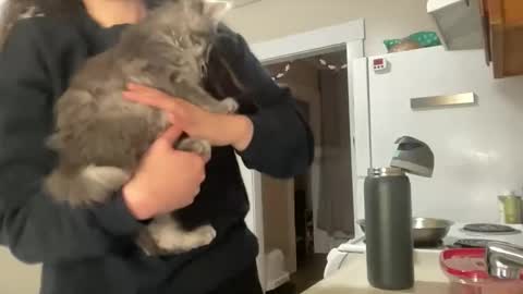 Snapshot of maddyhasyummypussy chatting on 12-15-25, 12:48 maddyhasyummypussy online show from 12-15-25, 12:48