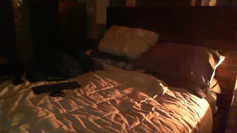 Snapshot of madmax0133 chatting on 02-26-25, 12:38 Guigui online show from 02-26-25, 12:38