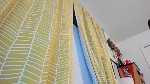 madmonkeyman10 online show from 12-21-25, 04:19