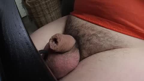 Snapshot of madwolf003 chatting on 01-21-25, 01:43 HOTnHORNY online show from 01-21-25, 01:43