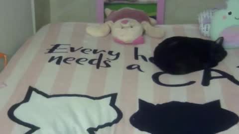 maferchavez88 online show from 02-22-26, 10:19