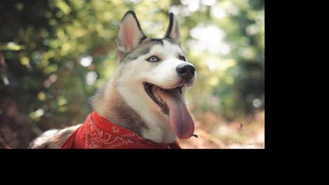 Snapshot of magic_katarina_ chatting on 01-25-25, 08:31 magic_katarina_ online show from 01-25-25, 08:31