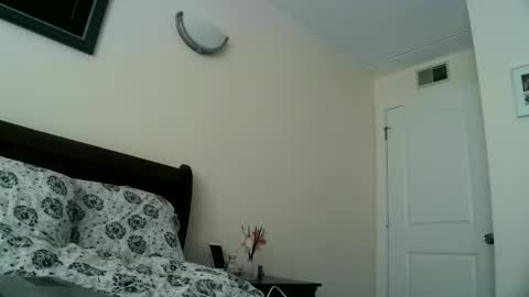 Snapshot of magnitaaa chatting on 12-17-24, 06:53 magnitaaa online show from 12-17-24, 06:53