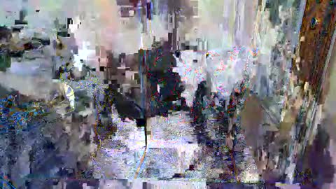 maialinofriuli online show from 10-05-25, 10:29