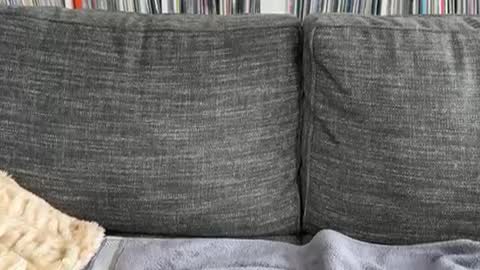 Snapshot of majortazer chatting on 12-03-24, 09:23 majortazer online show from 12-03-24, 09:23