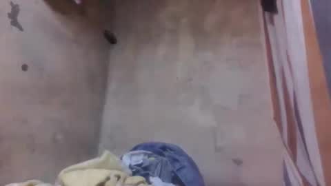 malalazah online show from 03-08-26, 06:06