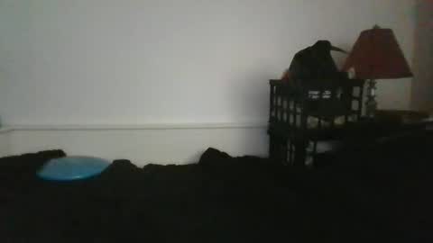 Snapshot of malebdsmslut chatting on 05-31-26, 12:23 CommandbondageNipples bondage kink submissive lovense slave wgear. modequiethvyBondage If Password goldfish online show from 05-31-26, 12:23